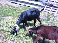 C'est l'heure du repas !